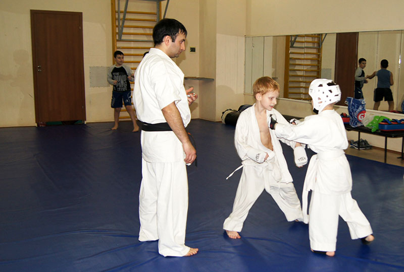 karate-shinkiokushin